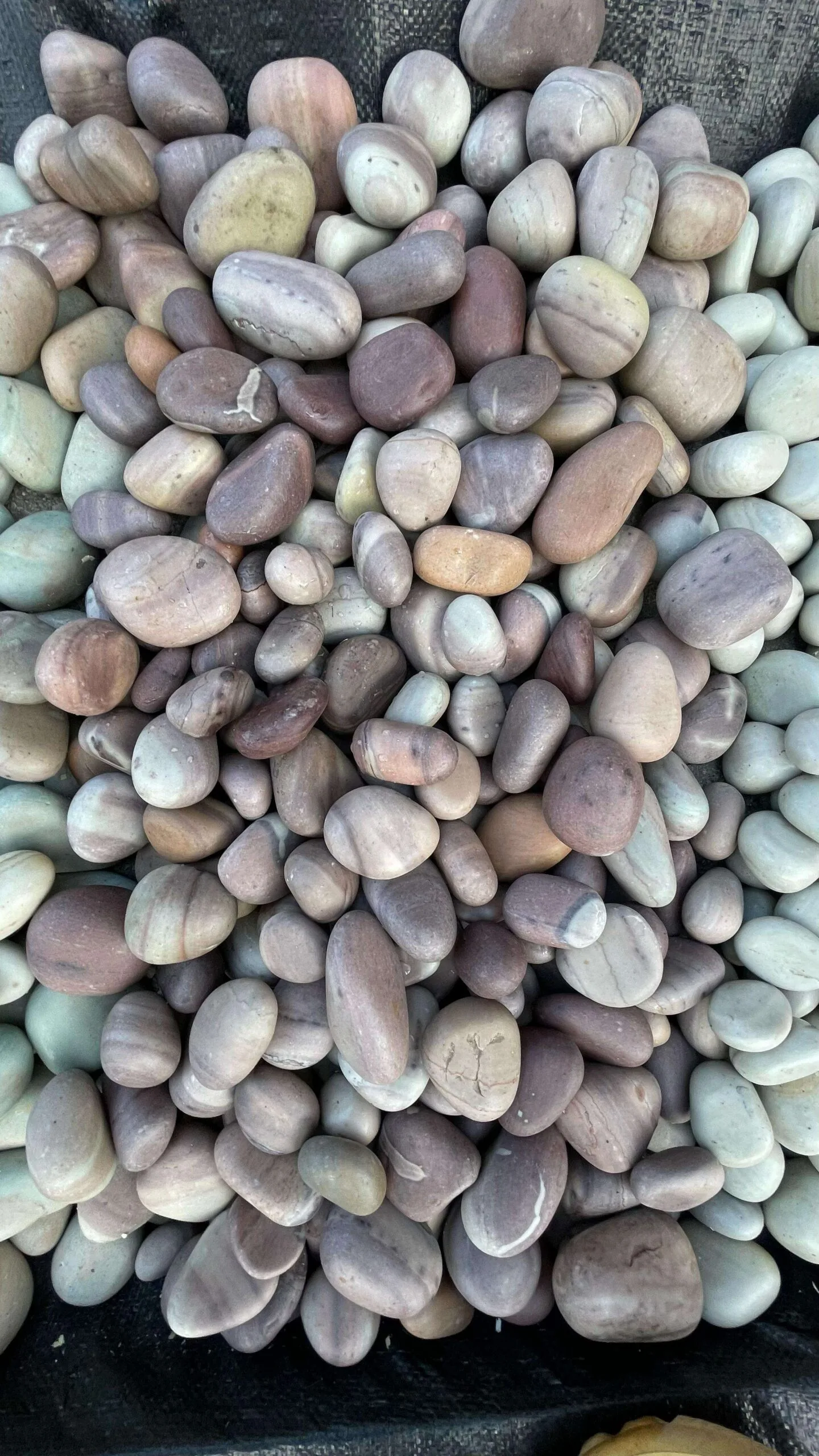 img 0188.jpg