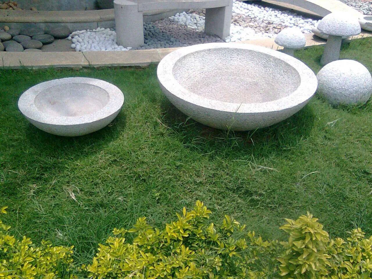 img 1819.jpg