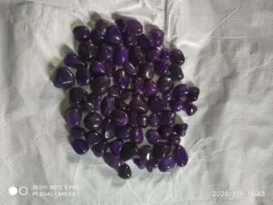 img 5745.jpg