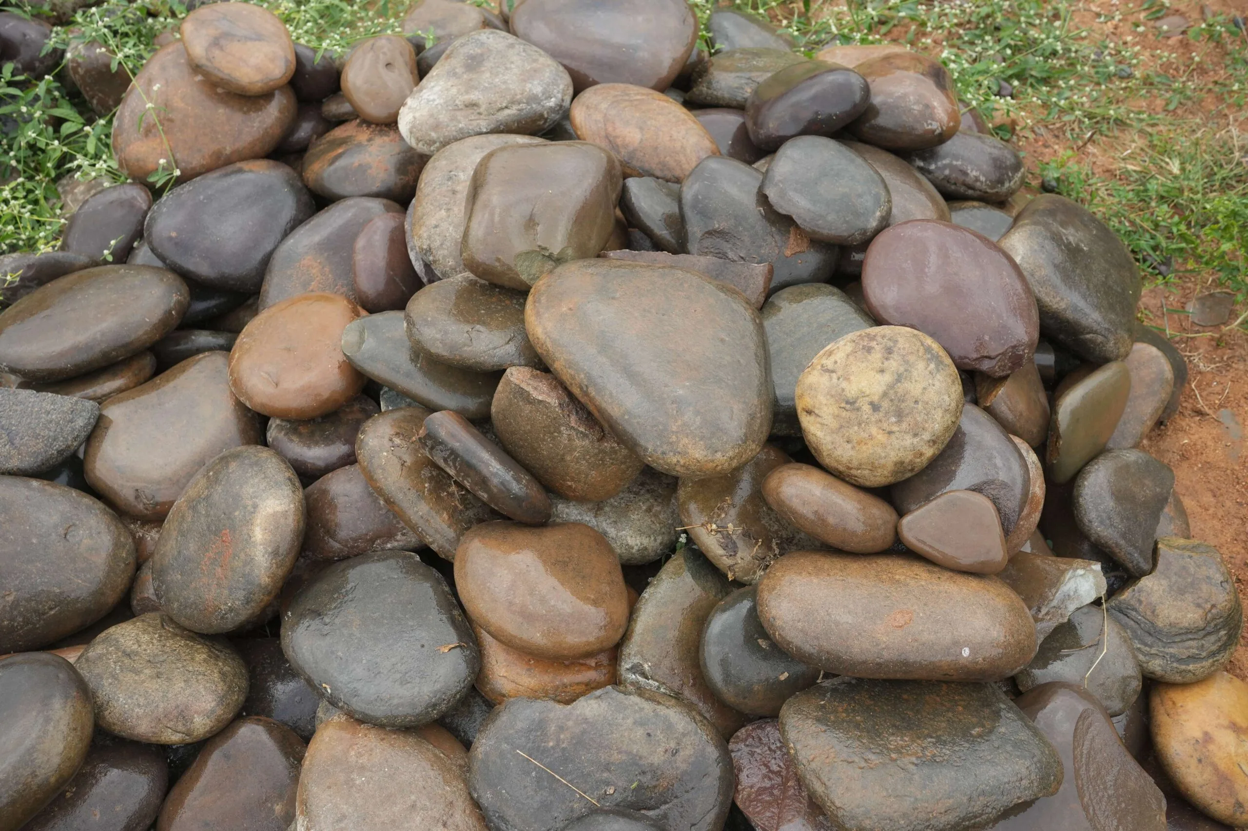 img 6884.jpg