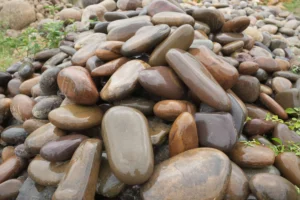 img 6885.jpg