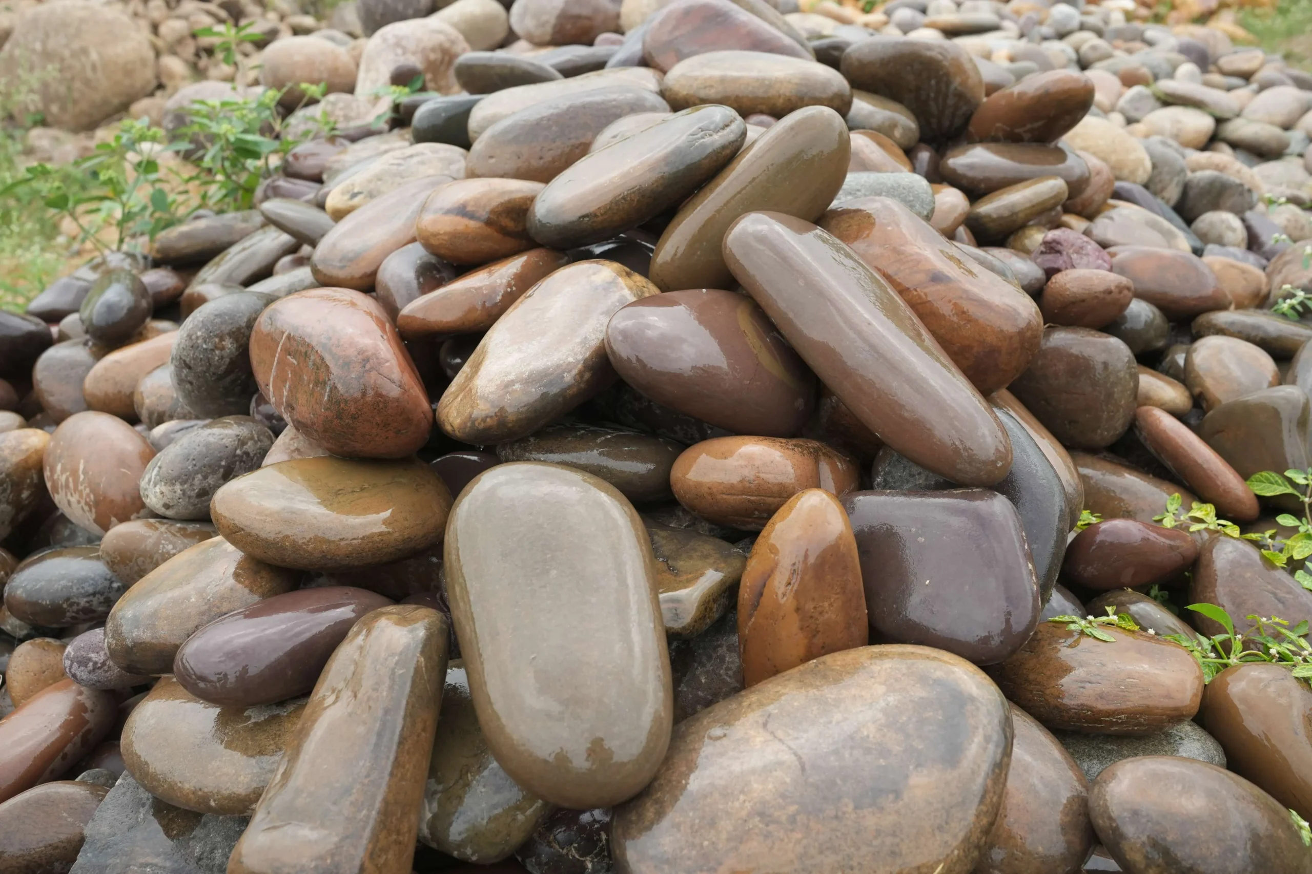 img 6885.jpg