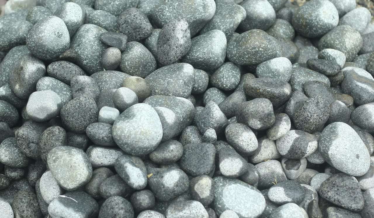 img 8514.jpg