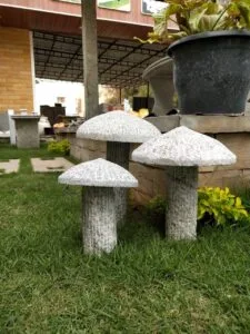 mushroom stone table set