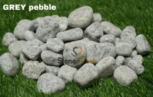 stone and rock pebbles kerala (65)