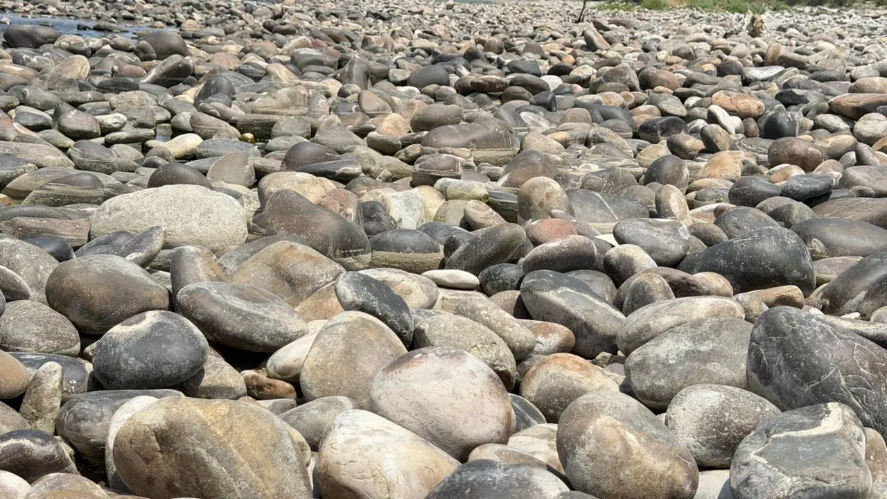 Natural Landscape Boulder Bulk natural river stones for garden landscaping